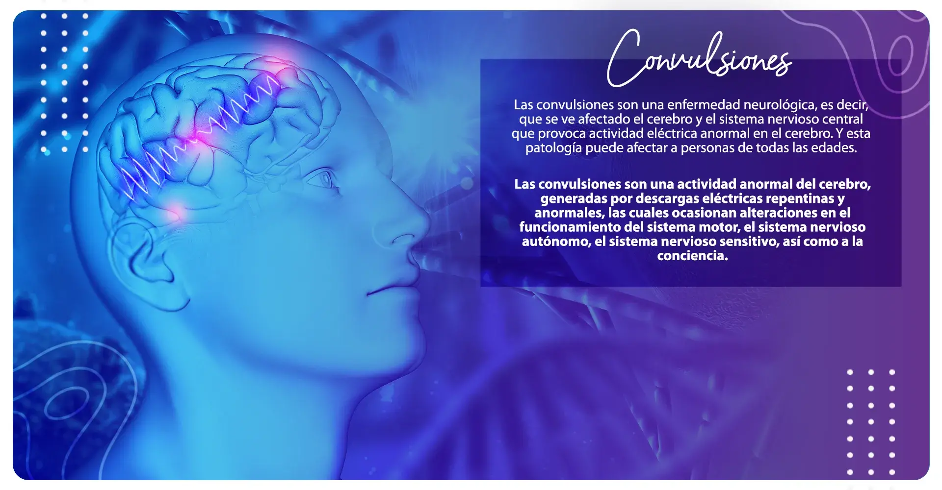 Las convulsiones afectan al cerebro y al sistema nervioso